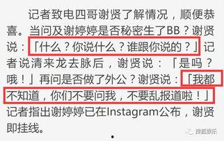 娱乐路透爆料模板怎么写,揭秘明星幕后故事，带你走进娱乐圈的神秘世界  第3张